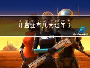 开启还有几天过年了