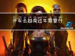 开车去越南过年需要什么