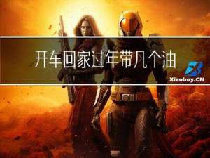 开车回家过年带几个油桶
