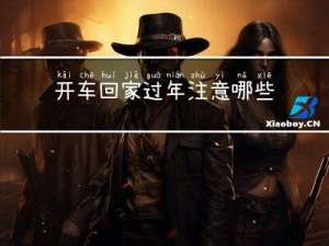 开车回家过年注意哪些