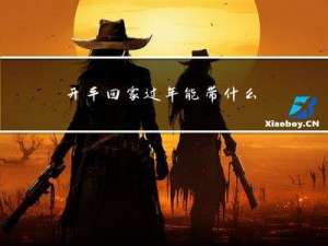 开车回家过年能带什么