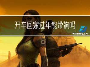 开车回家过年能带狗吗