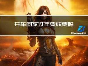 开车回家过年要收费吗