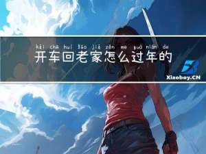 开车回老家怎么过年的