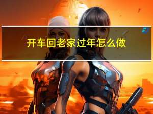 开车回老家过年怎么做