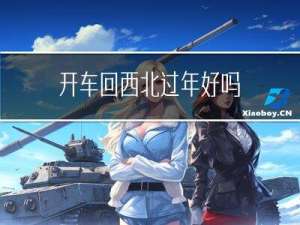开车回西北过年好吗