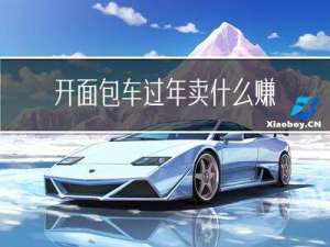 开面包车过年卖什么赚钱