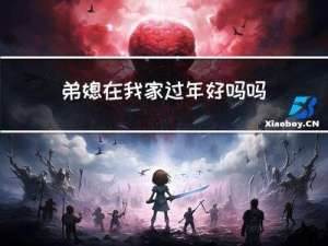 弟媳在我家过年好吗吗