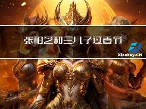 张柏芝和三儿子过春节吗