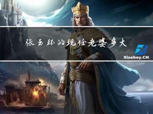 张玉环的现任老婆多大年纪