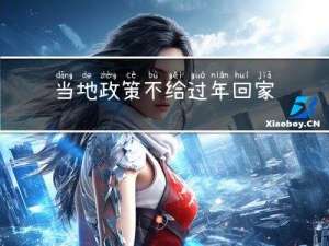 当地政策不给过年回家吗