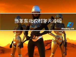 当年东北农村冬天冷吗