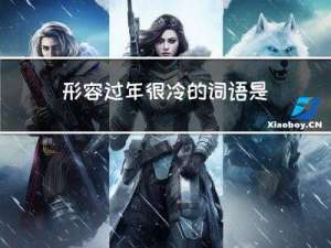 形容过年很冷的词语是什么