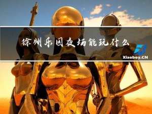 徐州乐园夜场能玩什么春节