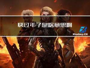 快过年了是啥意思啊