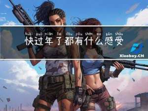 快过年了都有什么感受呢