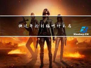 快过年捡到猫叫什么名字