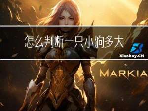 怎么判断一只小狗多大年龄