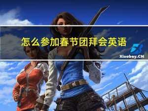 怎么参加春节团拜会英语