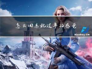 怎么回东北过年的感觉