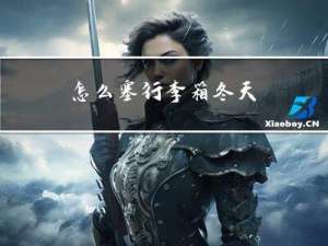 怎么塞行李箱冬天