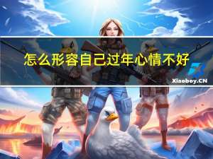 怎么形容自己过年心情不好