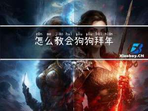 怎么教会狗狗拜年