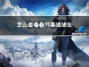 怎么查看春节高速堵车
