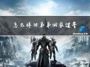 怎么样劝弟弟回家过年