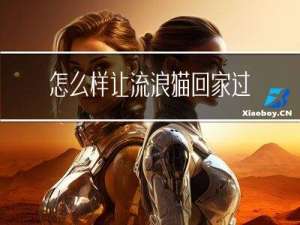 怎么样让流浪猫回家过年