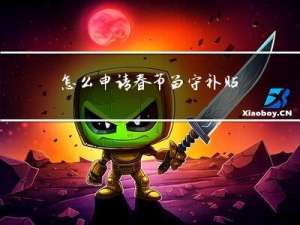 怎么申请春节留守补贴