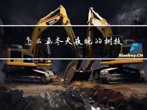 怎么画冬天夜晚的树枝
