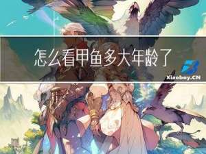 怎么看甲鱼多大年龄了