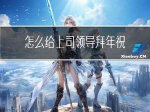 怎么给上司领导拜年祝福