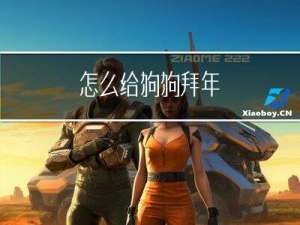 怎么给狗狗拜年