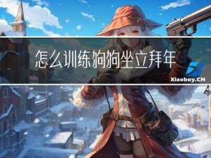 怎么训练狗狗坐立拜年动作