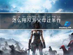 怎么陪双方父母过年作文