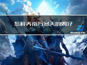 怎样养南方冬天的鸡仔