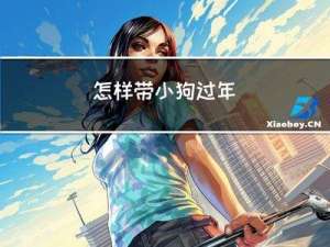 怎样带小狗过年