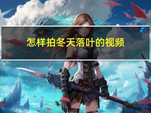 怎样拍冬天落叶的视频