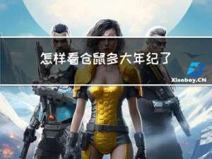 怎样看仓鼠多大年纪了