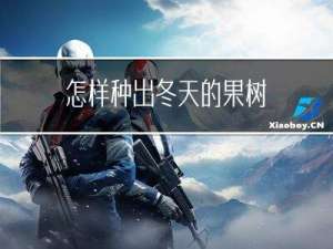 怎样种出冬天的果树