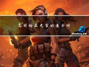 怎样给在老家的妻子拜年