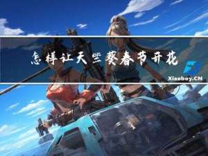 怎样让天竺葵春节开花