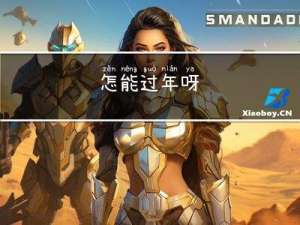 怎能过年呀