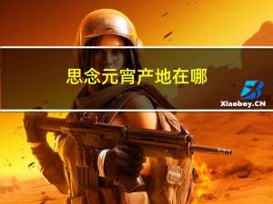思念元宵产地在哪