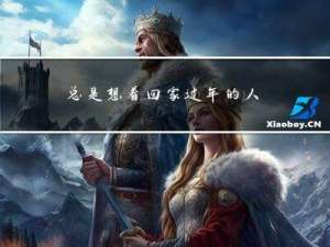 总是想着回家过年的人