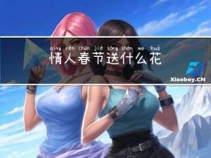 情人春节送什么花