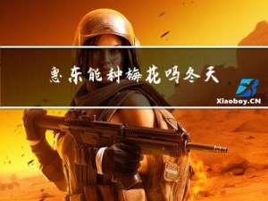 惠东能种梅花吗冬天