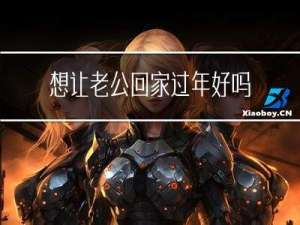 想让老公回家过年好吗小说